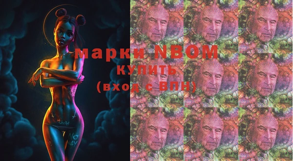 стафф Кодинск