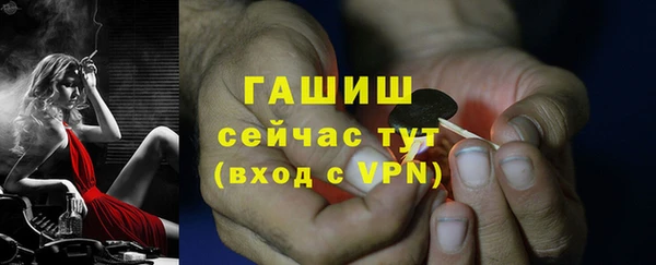 ПСИЛОЦИБИНОВЫЕ ГРИБЫ Козловка