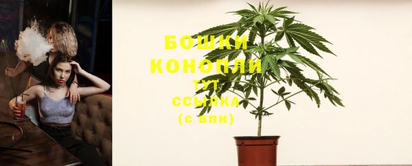 стафф Кодинск
