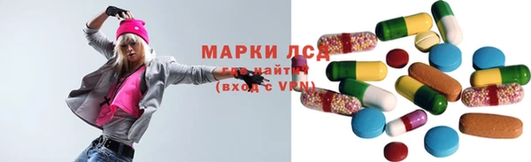 стафф Кодинск