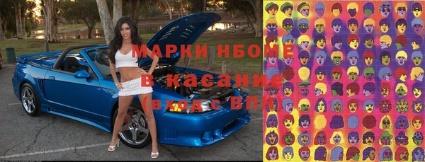 стафф Кодинск