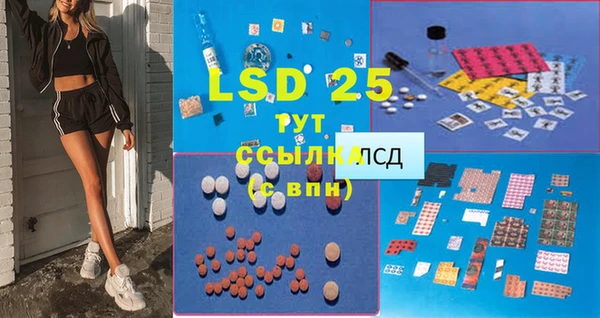 ПСИЛОЦИБИНОВЫЕ ГРИБЫ Козловка