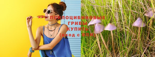 ALPHA PVP Козельск