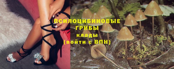 ALPHA PVP Козельск