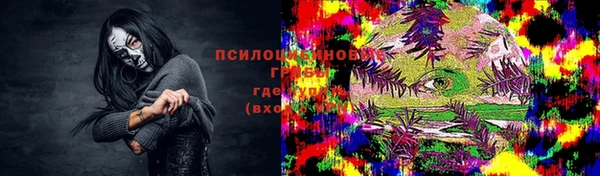ПСИЛОЦИБИНОВЫЕ ГРИБЫ Козловка
