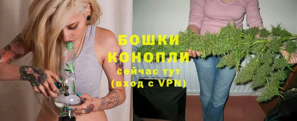 ALPHA PVP Козельск