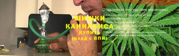 ПСИЛОЦИБИНОВЫЕ ГРИБЫ Козловка