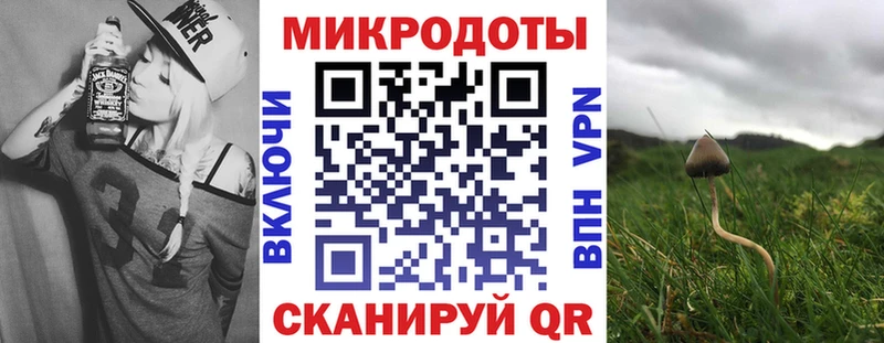 Купить  Велиж  Галлюциногенные грибы Cubensis 
