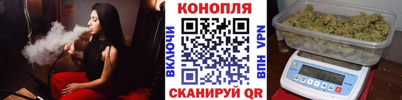 Конопля планчик  Купить где  Велиж 